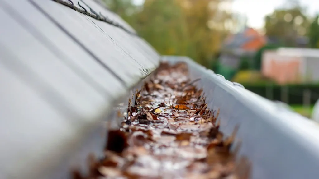 Gutter Cleaning In Kent