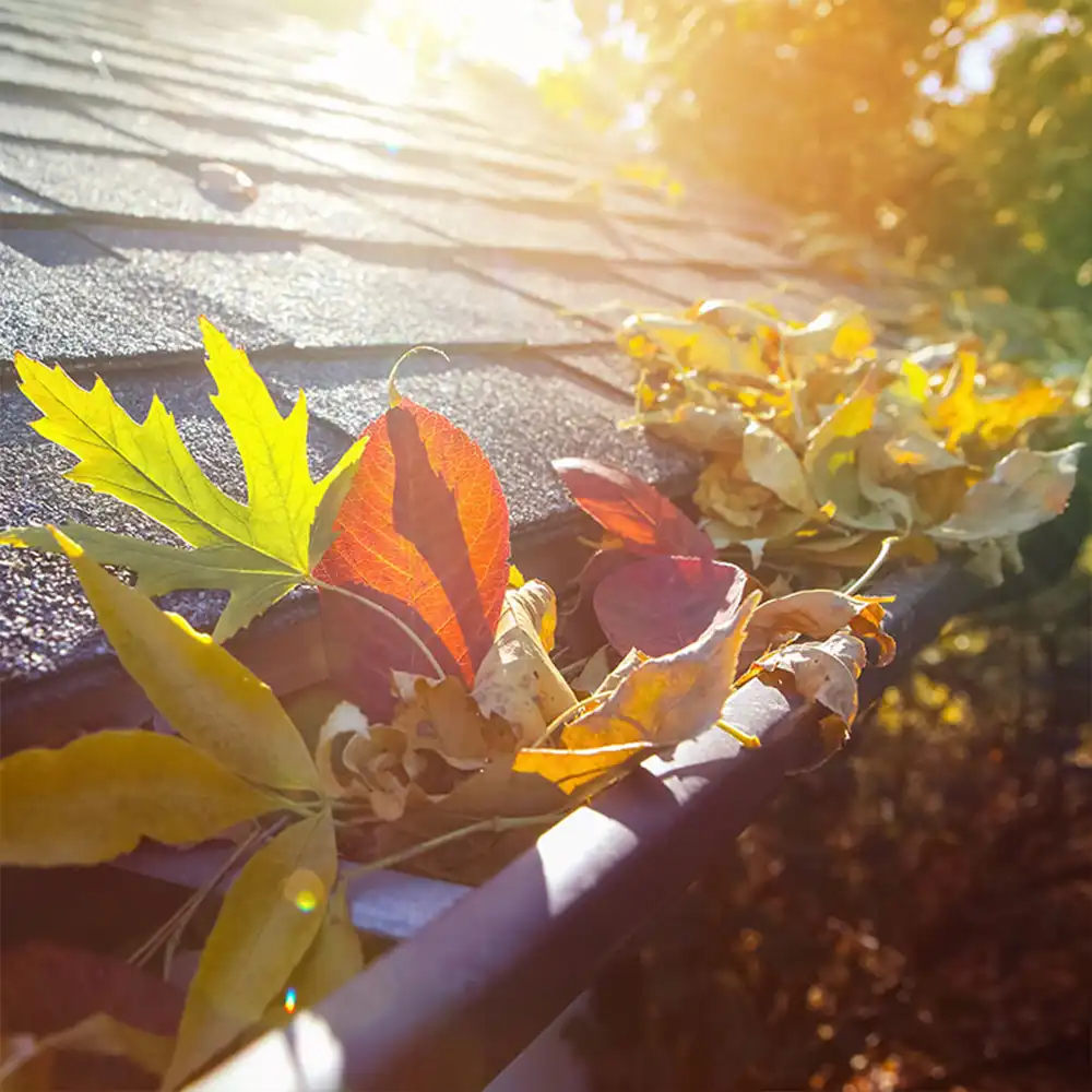 Gutter Cleaning Kent