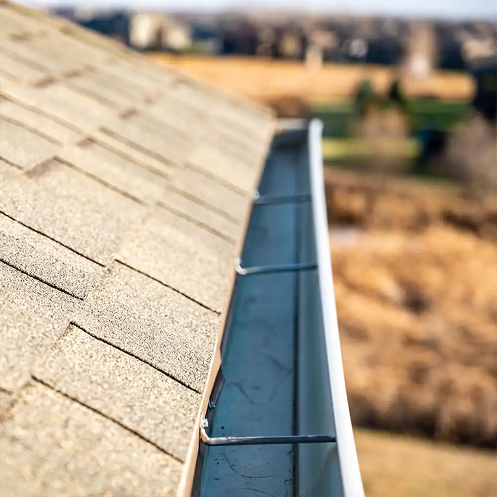 How Often Should I have My Gutters Cleaned