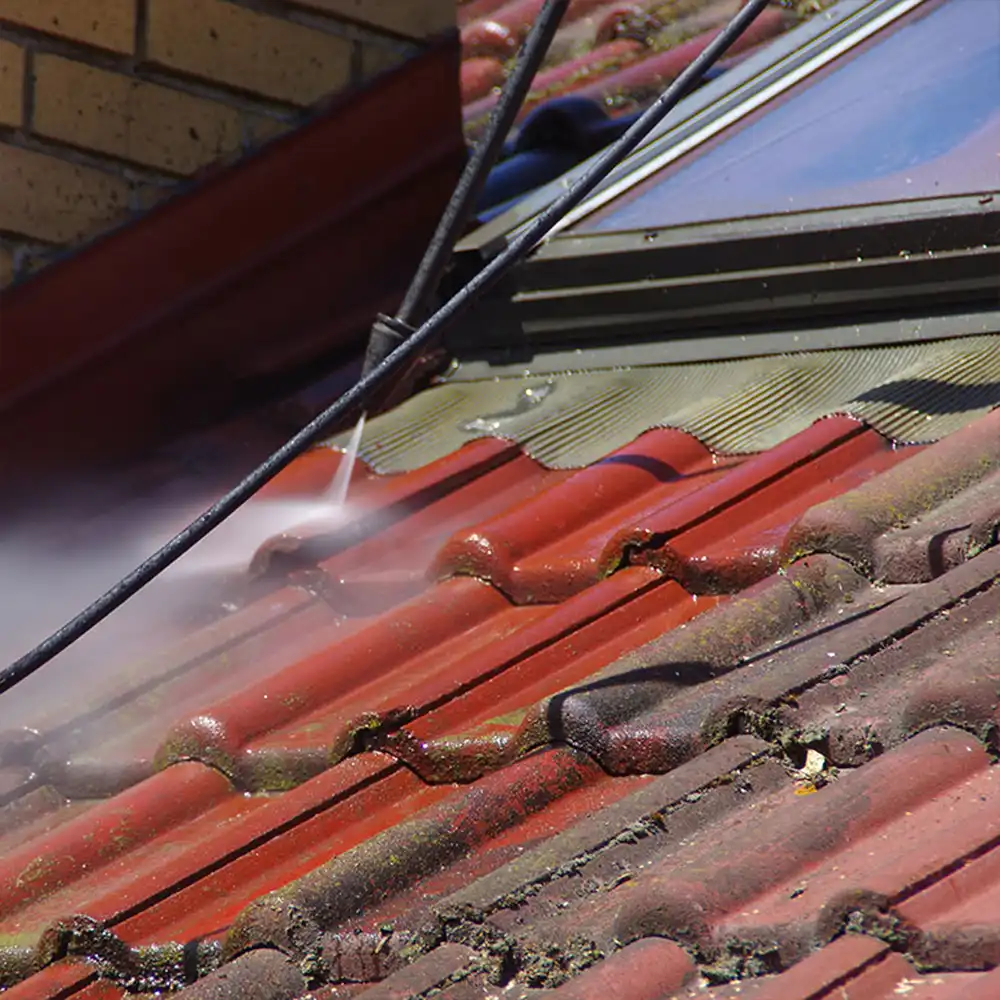 How Often Should My Roof Be Cleaned