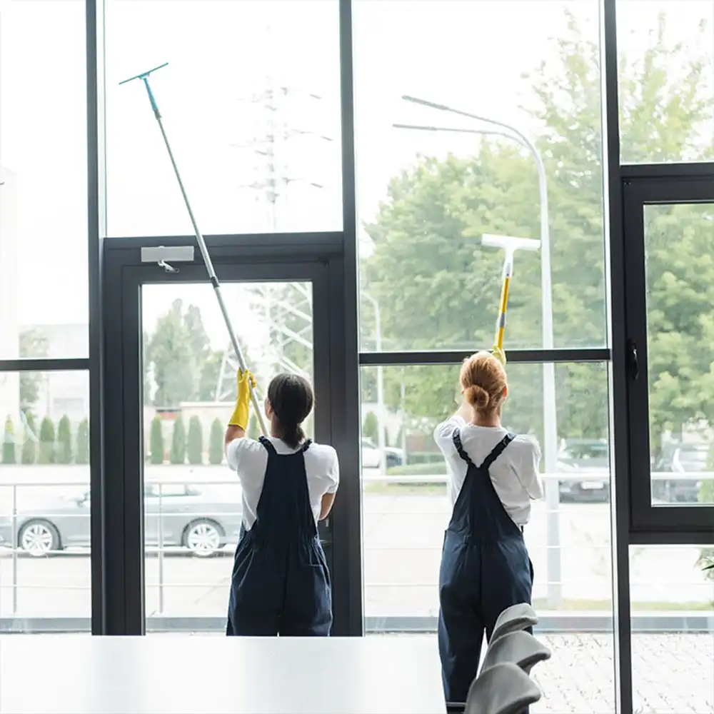 Why Professional Window Cleaning