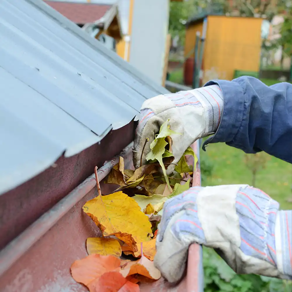 Why Professionally Gutter Cleaning